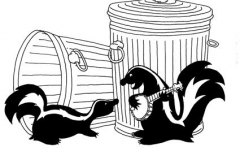skunks_web