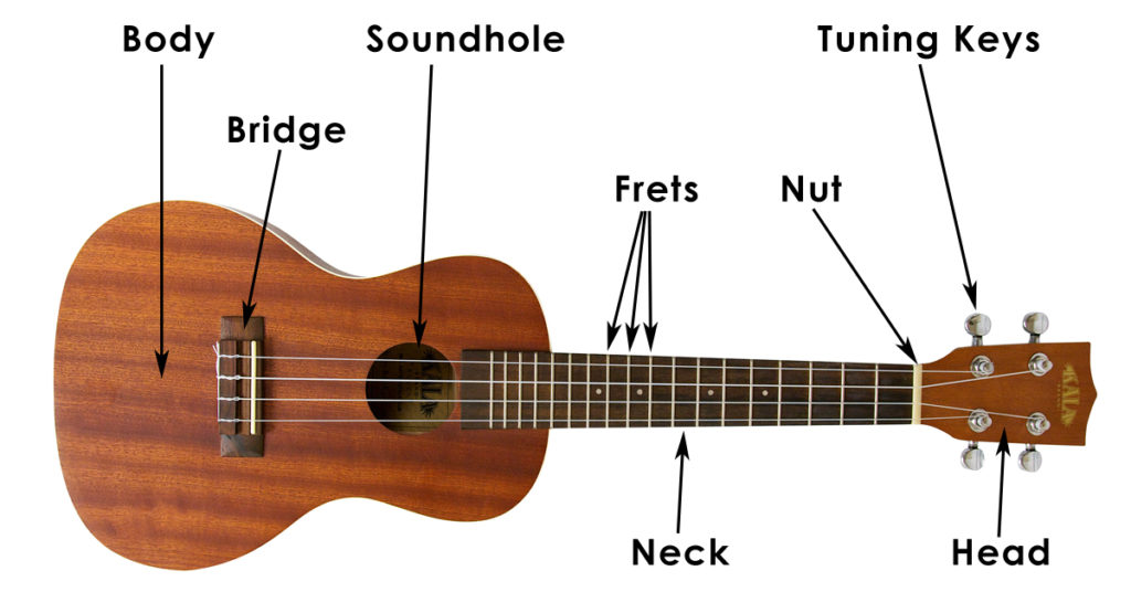 Ukulele for beginners, where to start.