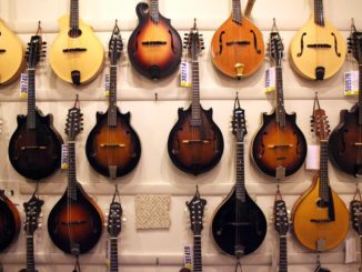 mandolin wall