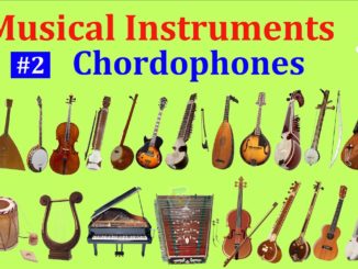 Chordophone