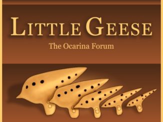 littlegeese